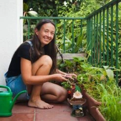 Nain De Jardin Avec Abreuvoir à Oiseaux -Komar || Wenko || Amadeus Soldes Magasin 04c143d29d80468ab176b2ac383c1d83