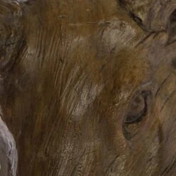 Décoration Murale Tête D’élan -Komar || Wenko || Amadeus Soldes Magasin 1000140840 181114 074254207 GALLERYIMAGES P000000001000140840