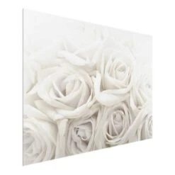 Tableau Déco Roses Blanches -Komar || Wenko || Amadeus Soldes Magasin 1000177856 190624 16444202363 GALLERYIMAGES P000000001000177856