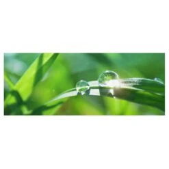 Tableau Déco Green Ambiance II