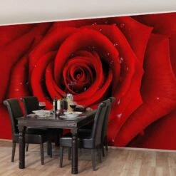 Papier Peint Rose Rouge -Komar || Wenko || Amadeus Soldes Magasin 1000184695 190816 11000000003 MOOD DETAILS P000000001000184695 mood
