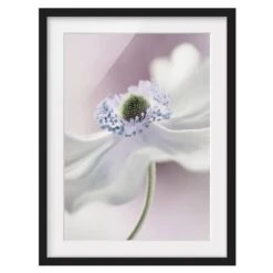 Impression D’art Brise D’anémone I