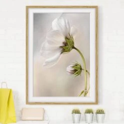 Impression D’art Fleur Céleste IV -Komar || Wenko || Amadeus Soldes Magasin 1000202586 200211 11312600401 DETAILS P000000001000202586