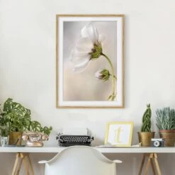 Impression D’art Fleur Céleste IV -Komar || Wenko || Amadeus Soldes Magasin 1000202586 200211 11312600403 DETAILS P000000001000202586