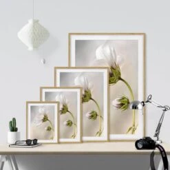 Impression D’art Fleur Céleste IV -Komar || Wenko || Amadeus Soldes Magasin 1000202586 200211 11312600404 DETAILS P000000001000202586