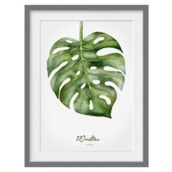 Impression D’art Aquarelle Monstera III