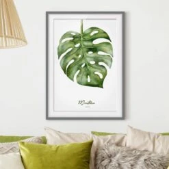 Impression D’art Aquarelle Monstera III -Komar || Wenko || Amadeus Soldes Magasin 1000202889 200211 11315002045 DETAILS P000000001000202889