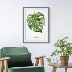 Impression D’art Aquarelle Monstera III -Komar || Wenko || Amadeus Soldes Magasin 1000202889 200211 11315002046 DETAILS P000000001000202889