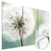 Tableau Déco Plexiglas Fluffy Dandelions -Komar || Wenko || Amadeus Soldes Magasin 1000203624 200218 16241900005 IMAGE P000000001000203624