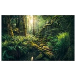 Komar Papier Peint Intissé Elves Cathedral