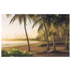 Komar Papier Peint Intissé Golden Lands