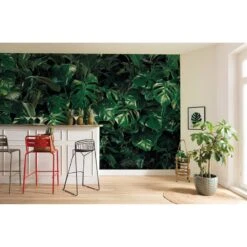 Komar Papier Peint Intissé Tropical Wall -Komar || Wenko || Amadeus Soldes Magasin 1000221121 200904 15505500499 MOOD DETAILS P000000001000221121 mood