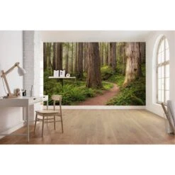 Komar Papier Peint Intissé Redwood Trail -Komar || Wenko || Amadeus Soldes Magasin 1000221197 200904 15511800659 MOOD DETAILS P000000001000221197 mood