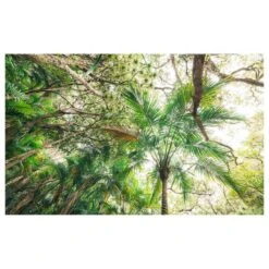 Komar Papier Peint Intissé Touch The Jungle