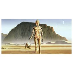 Komar Papier Peint Star Wars RMQ Droids