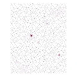 Komar Papier Peint Intissé Cherry Blossom