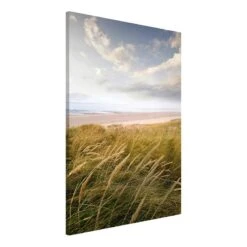 Tableau Magnétique Rêve De Dunes -Komar || Wenko || Amadeus Soldes Magasin 1000246174 210219 08341600014 DETAILS P000000001000246174