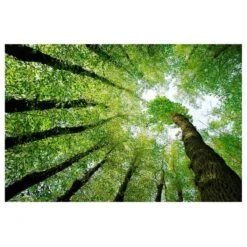 Tableau Magnétique Arbre De Vie