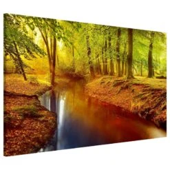 Tableau Magnétique Bois D’automne -Komar || Wenko || Amadeus Soldes Magasin 1000246178 210219 08342500031 DETAILS P000000001000246178