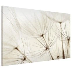 Tableau Magnétique Herbes Douces -Komar || Wenko || Amadeus Soldes Magasin 1000246193 210219 08345800091 DETAILS P000000001000246193