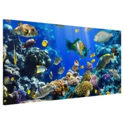 Tableau Magnétique Underwater Reef -Komar || Wenko || Amadeus Soldes Magasin 1000246227 210219 08361600229 DETAILS P000000001000246227
