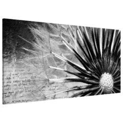 Tableau Magnétique Pissenlit -Komar || Wenko || Amadeus Soldes Magasin 1000246230 210219 08362200241 DETAILS P000000001000246230