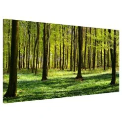 Tableau Magnétique Clairière -Komar || Wenko || Amadeus Soldes Magasin 1000246236 210219 08363500266 DETAILS P000000001000246236