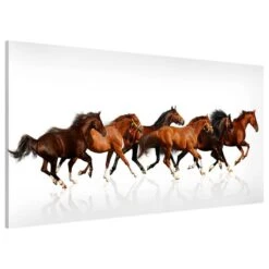 Tableau Magnétique Troupeau De Chevaux -Komar || Wenko || Amadeus Soldes Magasin 1000246238 210219 08363800274 DETAILS P000000001000246238