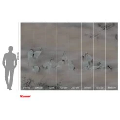 Komar Papier Peint Intissé Fulfillness -Komar || Wenko || Amadeus Soldes Magasin 1000272015 210602 17125900368 DETAILS P000000001000272015