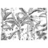 Komar Papier Peint Intissé Croissances -Komar || Wenko || Amadeus Soldes Magasin 1000272031 210602 17130100420 IMAGE P000000001000272031