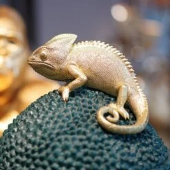 Boîte Déco Chameleon II 18 Boîte Déco Chameleon II -Komar || Wenko || Amadeus Soldes Magasin 1000277543 210707 09474800119 DETAILS P000000001000277543