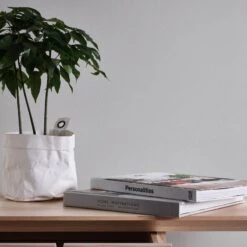 Papier Peint En Intissé Welaka -Komar || Wenko || Amadeus Soldes Magasin 1000292939 210928 13434300040 MOOD DETAILS P000000001000292939 mood