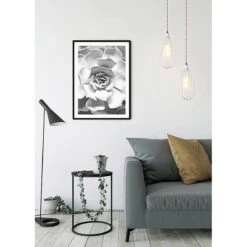 Komar Tableau Déco Succulent Closeup -Komar || Wenko || Amadeus Soldes Magasin 1000297707 211005 11155600320 MOOD DETAILS P000000001000297707 mood