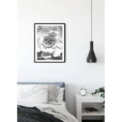 Komar Tableau Déco Succulent Closeup -Komar || Wenko || Amadeus Soldes Magasin 1000297707 211005 11155600324 MOOD DETAILS P000000001000297707 mood