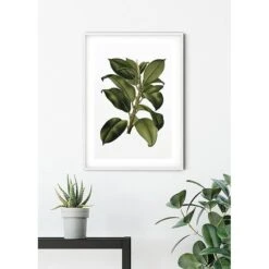 Komar Tableau Déco Elastica Tree -Komar || Wenko || Amadeus Soldes Magasin 1000297709 211005 11155600332 MOOD DETAILS P000000001000297709 mood