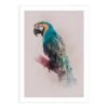 Komar Tableau Déco Animals Paradise Parrot -Komar || Wenko || Amadeus Soldes Magasin 1000297754 211005 11155800628 IMAGE P000000001000297754