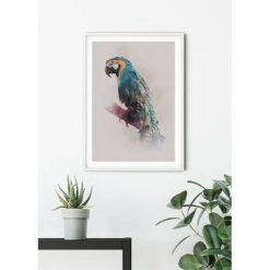 Komar Tableau Déco Animals Paradise Parrot -Komar || Wenko || Amadeus Soldes Magasin 1000297754 211005 11155800641 MOOD DETAILS P000000001000297754 mood