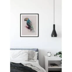 Komar Tableau Déco Animals Paradise Parrot -Komar || Wenko || Amadeus Soldes Magasin 1000297754 211005 11155800647 MOOD DETAILS P000000001000297754 mood