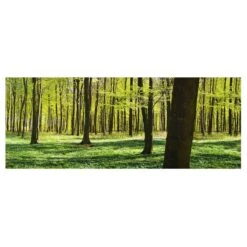 Tableau En Verre Prairie