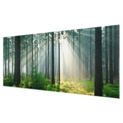 Tableau En Verre Enlightened Forest -Komar || Wenko || Amadeus Soldes Magasin 1000300620 211022 14374100995 DETAILS P000000001000300620