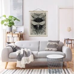 Tableau Déco Vintage Papillons De Nuit -Komar || Wenko || Amadeus Soldes Magasin 1000306177 211123 09073000330 MOOD DETAILS P000000001000306177 mood