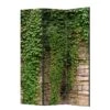 Paravent Ivy Wall