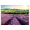 Papier Peint Intissé Lavender Field -Komar || Wenko || Amadeus Soldes Magasin 1000308761 211119 13415000513 IMAGE P000000001000308761