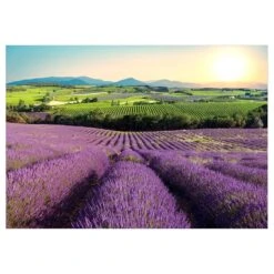 Papier Peint Intissé Lavender Field