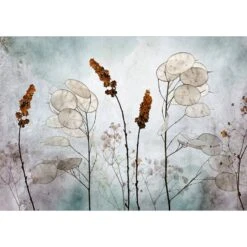 Papier Peint Intissé Lunaria In Meadow