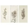 Tableau Déco Herbarium (3 éléments) -Komar || Wenko || Amadeus Soldes Magasin 1000313073 211209 11511701888 IMAGE P000000001000313073