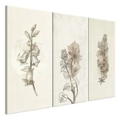 Tableau Déco Herbarium (3 éléments) -Komar || Wenko || Amadeus Soldes Magasin 1000313073 211209 11511801910 DETAILS P000000001000313073