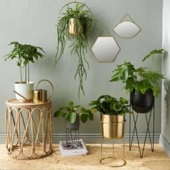 Miroir CARAT I -Komar || Wenko || Amadeus Soldes Magasin 1000344011 220406 021 MOOD DETAILS P000000001000344011 mood