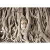 Papier Peint Intissé Buddhas Tree -Komar || Wenko || Amadeus Soldes Magasin 1000347558 220609 010 IMAGE P000000001000347558