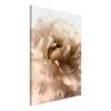 Tableau Déco Soft Petals -Komar || Wenko || Amadeus Soldes Magasin 1000348515 220609 010 IMAGE P000000001000348515
